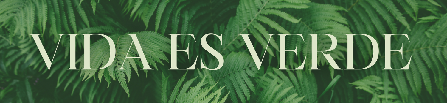 Vida es Verde banner with fern leaves in background